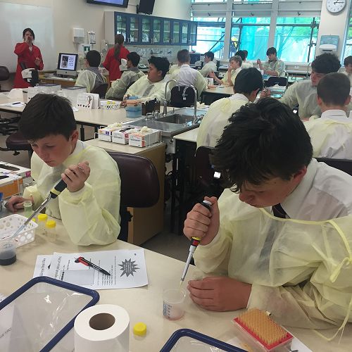 Testing DNA samples in the lab