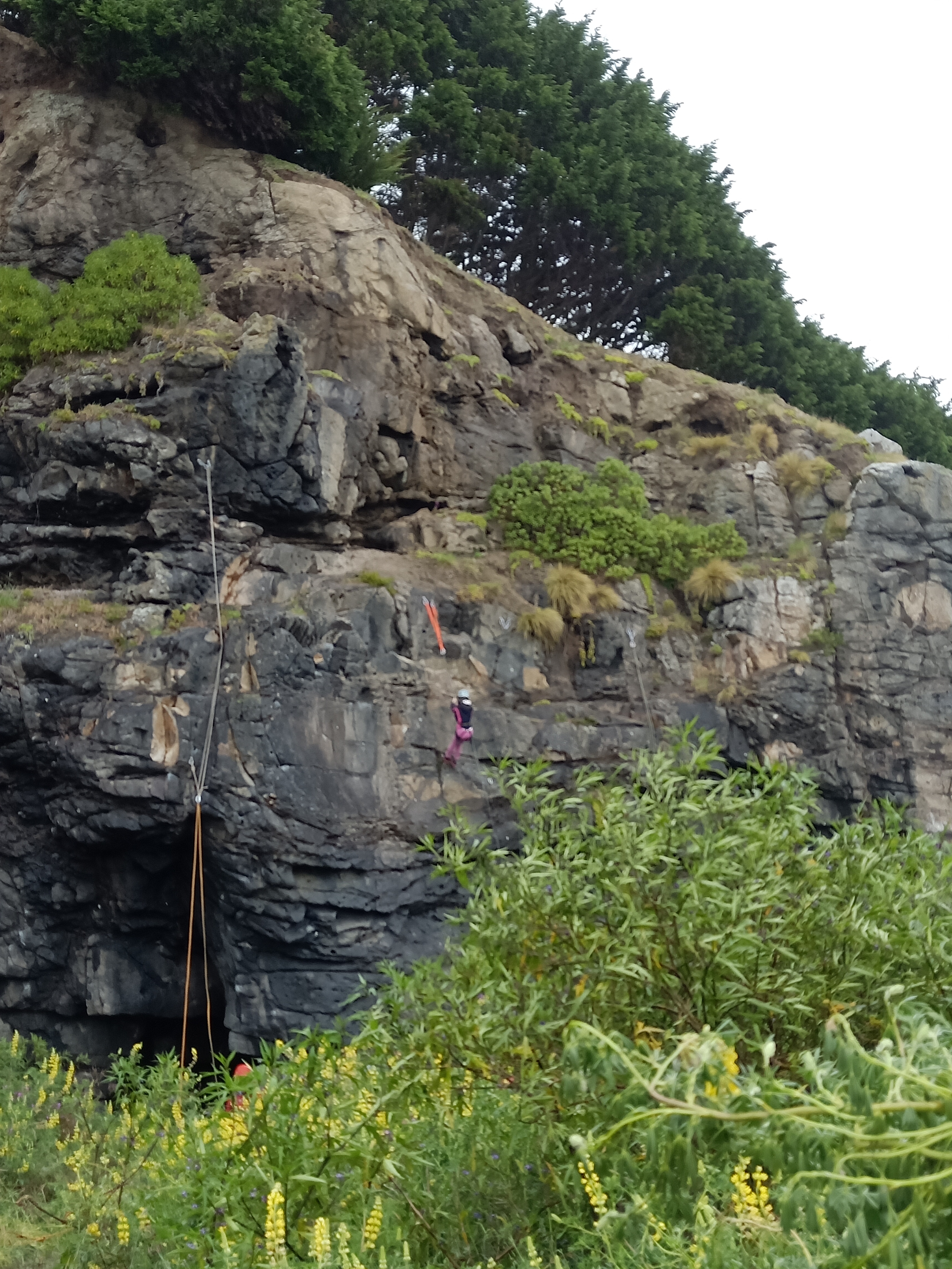 This Morning's Senior Climbing Trip is on for Room 2 and half of Room 1.