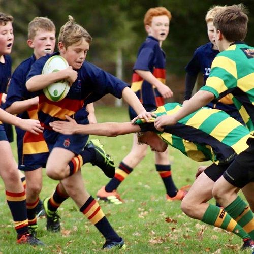 Junior Rugby