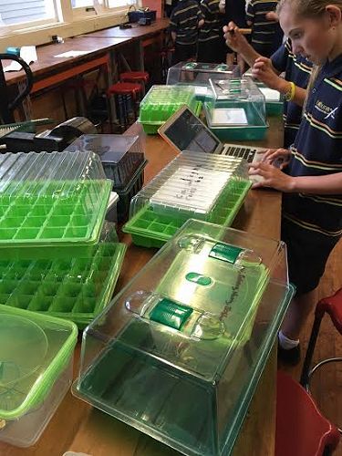 Mini greenhouses waiting for their programming