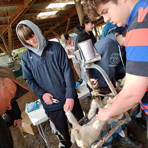 Simon shows George Begg and Brayton Erskine what to do.