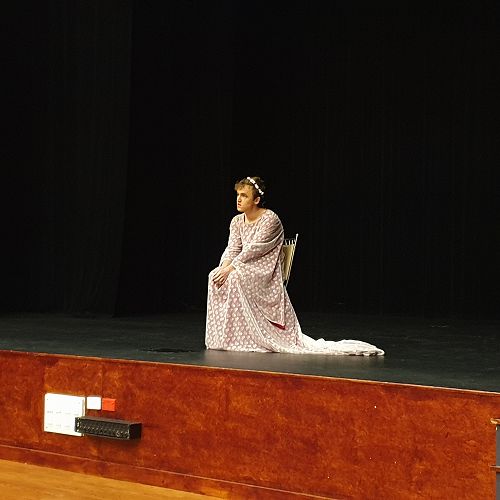 SGCNZ University of Otago Sheilah Winn Shakespeare Festival, Regional Final&nbsp;