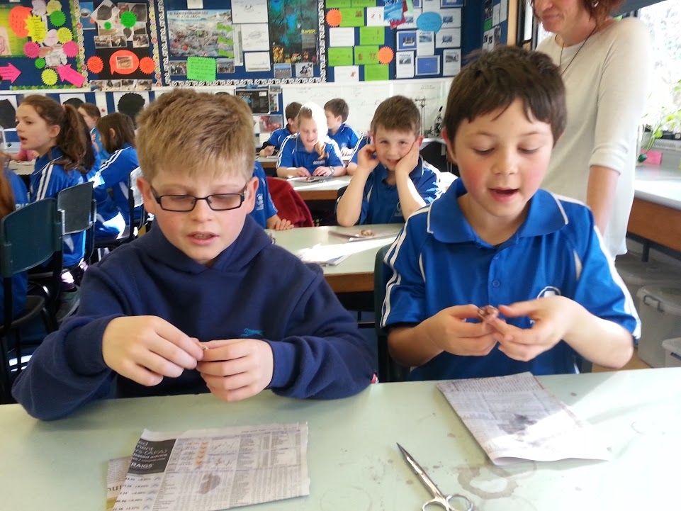 Dissection Recount