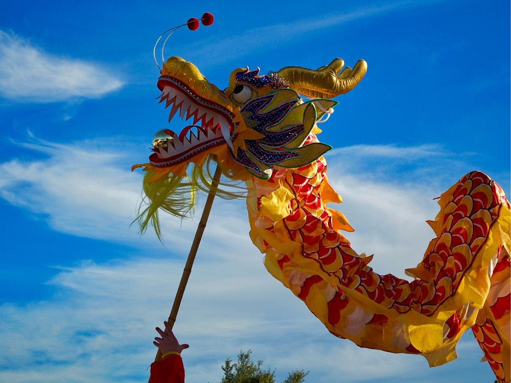 Welcome to the Year of the Dragon!