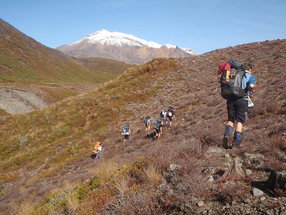 Hillary Challenge