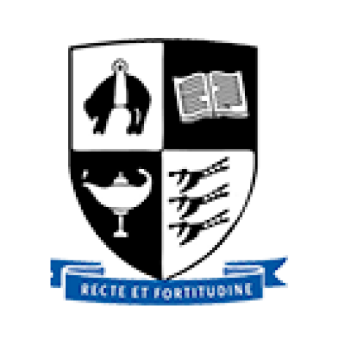 Organisation logo
