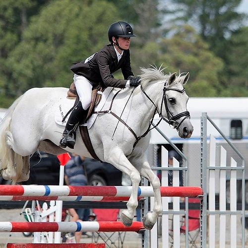 Noah Coutts (Y9) competing on Lizzie McGuire at the NZ National Show Jumping and Show Hunter Championships in Christchurch.