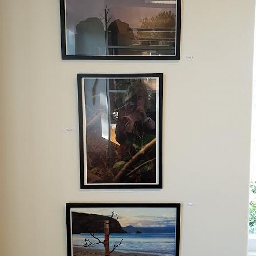 IB Art Exhibition - James Burchell