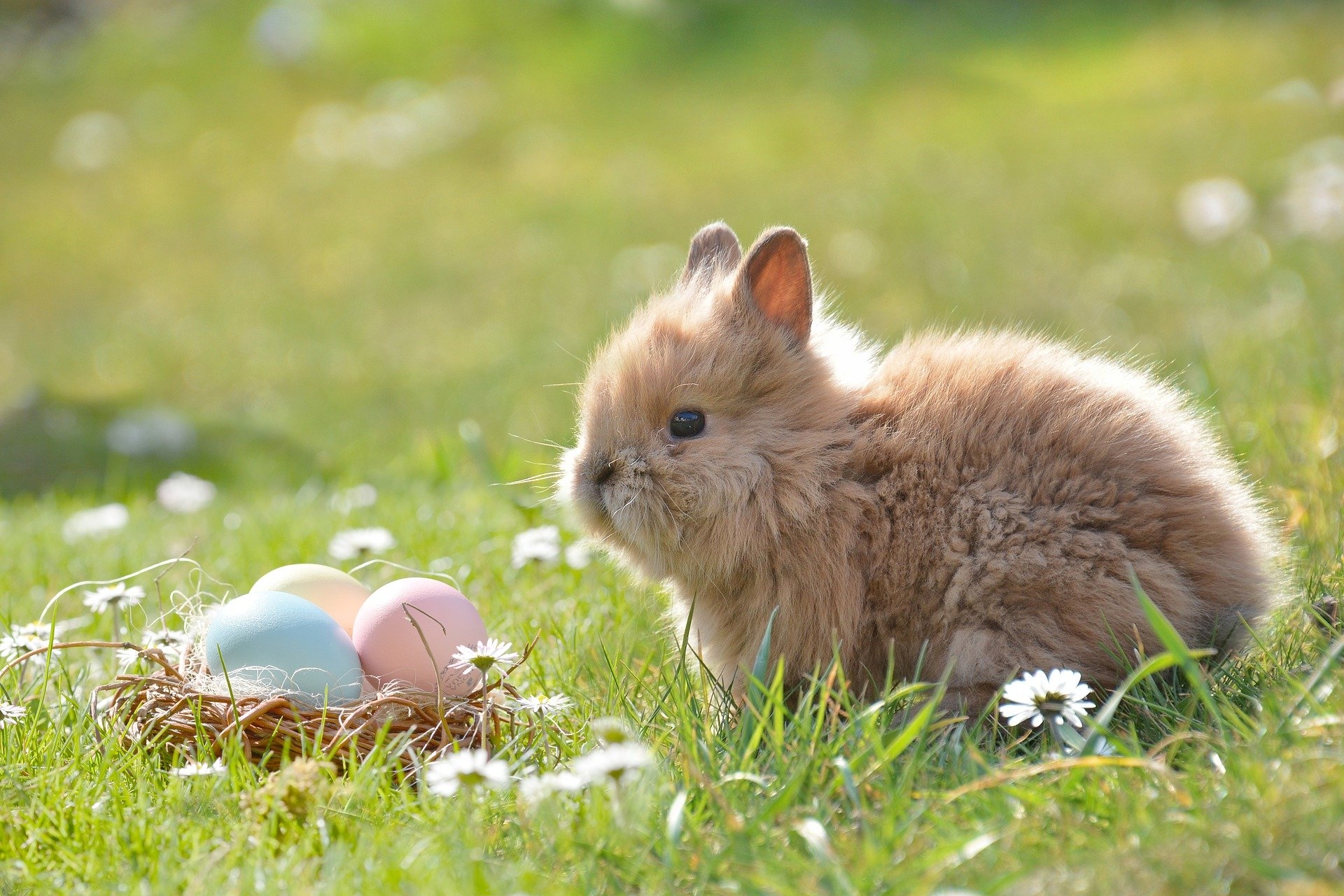 Easter Hunt