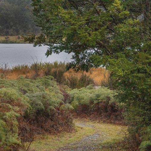 Lake Mistletoe