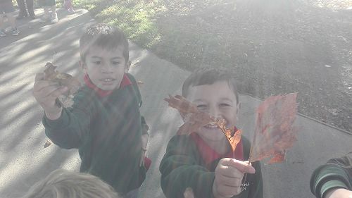Autumn Fun