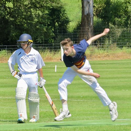 Cricket in Timaru Nov17