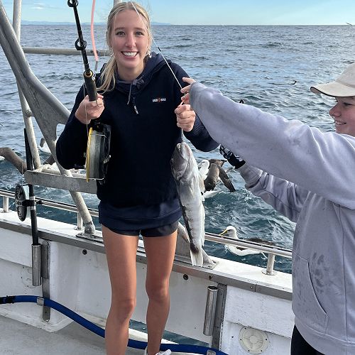 Georgia with the first blue cod of the day
