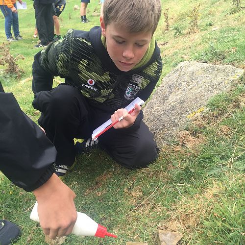 Testing the rocks with dilute Hcl