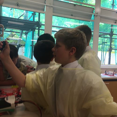 Testing DNA samples in the lab
