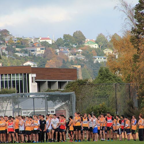 Senior Runners get ready at the start line