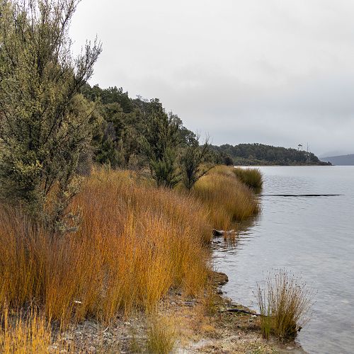 The lakefront in Te Anau Downs