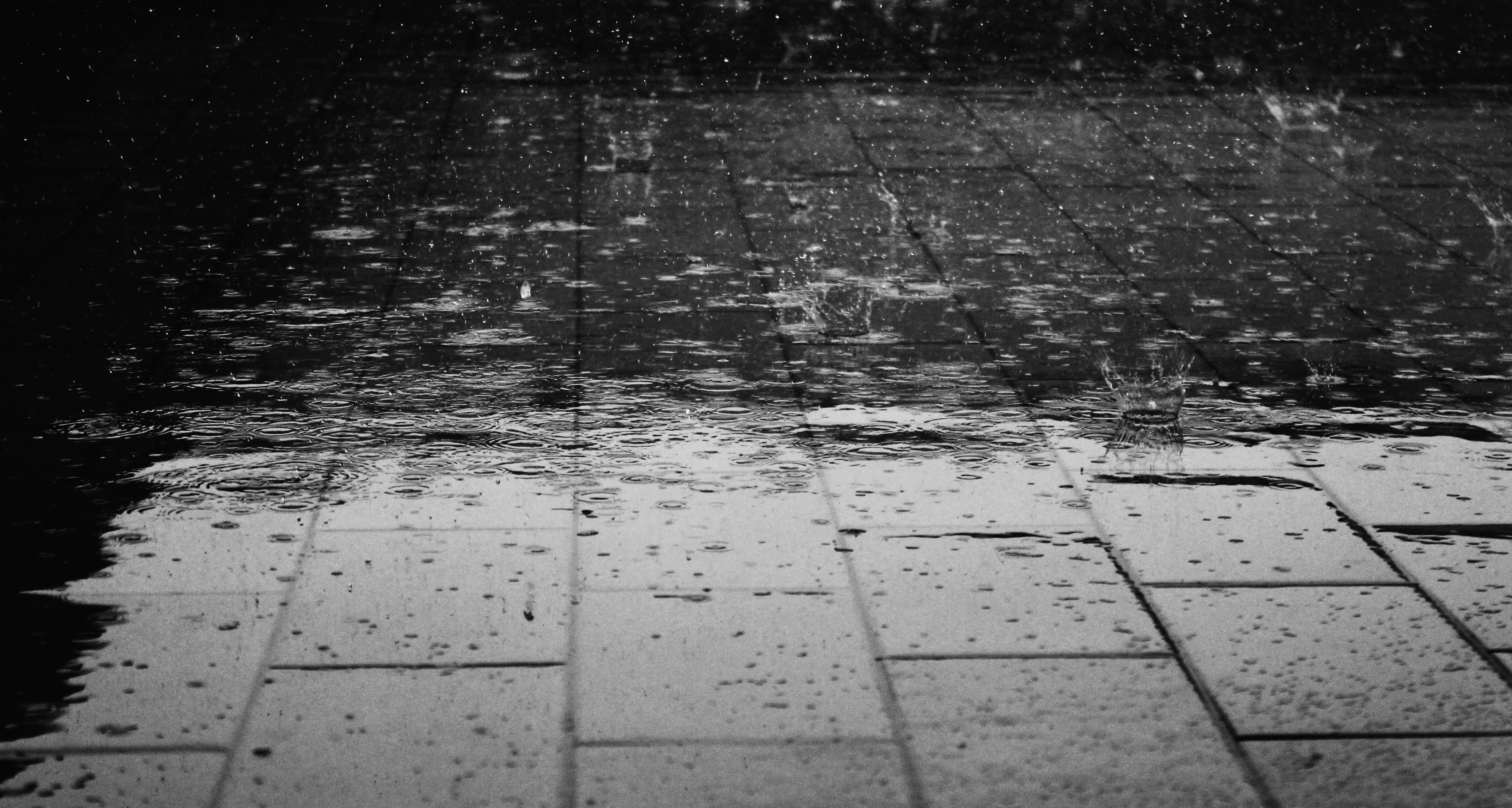 Wet weather plan