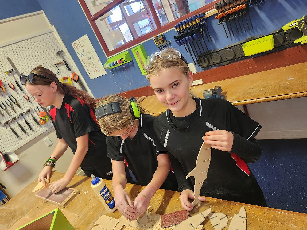 Newsletter: Term 2, Week 5. Thursday 30 May, 2024