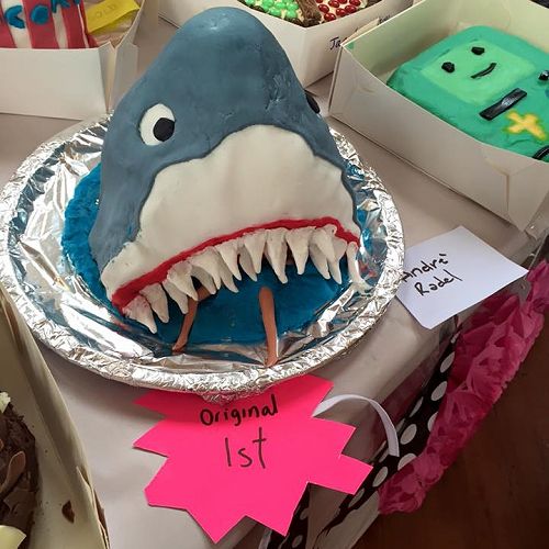 Year 7 cake competitiion - Andre Radel
