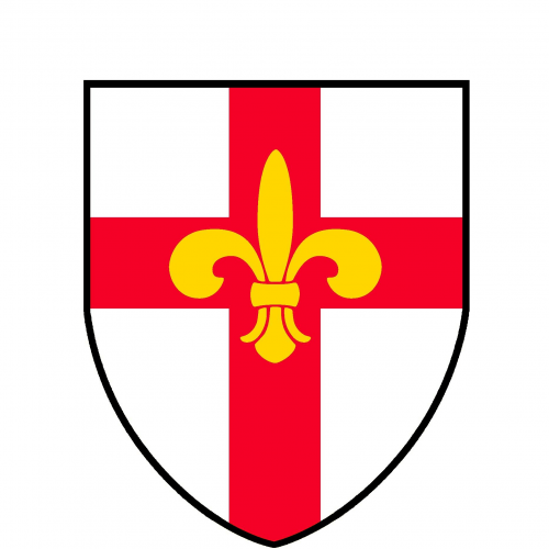 Organisation logo