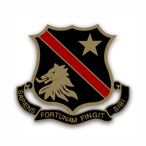 Organisation logo