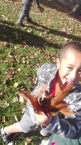 Autumn Fun