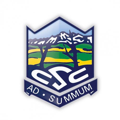 Organisation logo