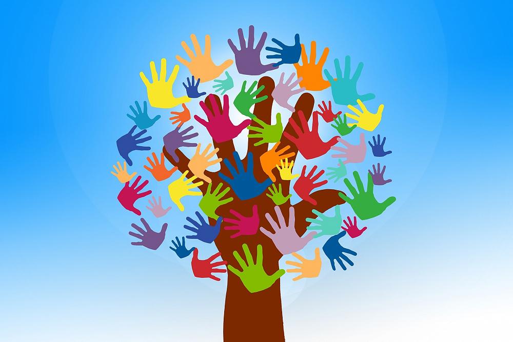 Volunteer Call-Out: Help Make the Magic Happen!