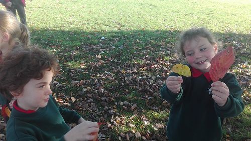 Autumn Fun