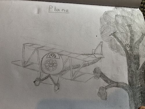 By Ciara