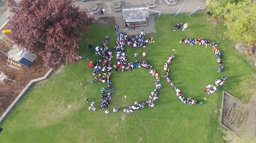Kaikorai 150 Whole school photo
