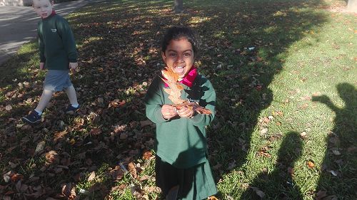Autumn Fun