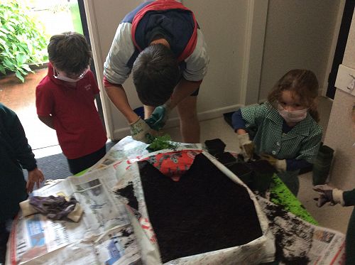 Gardening