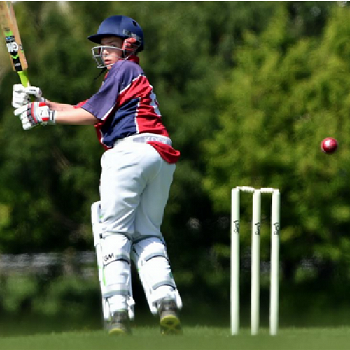 Tournament week cricket