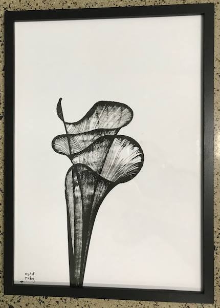 Silent Auction - A very special item