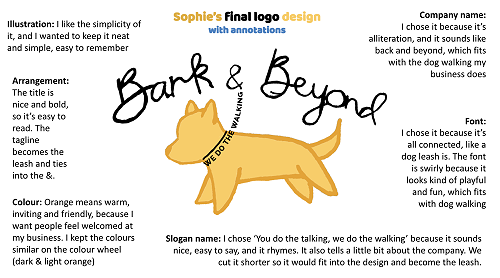 Capturing design decisions