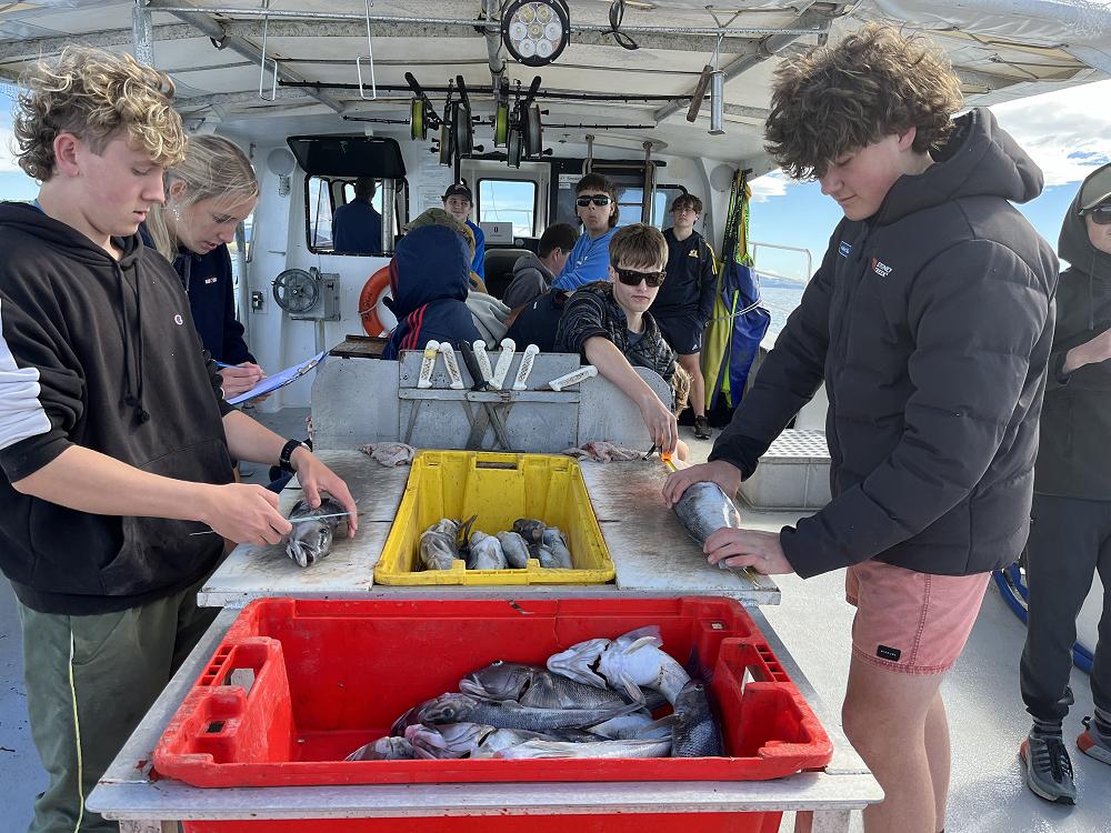 Measuring fish for practical investigation internal