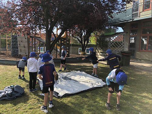 Y5 Activities