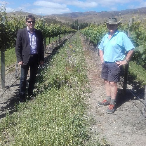 Agribusiness partnership with Mt Difficulty Winery&nbsp;