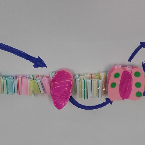 ATP Synthase...the energy-making molecule!