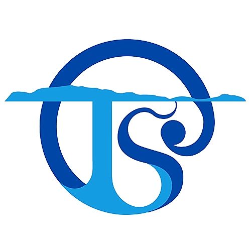 Organisation logo