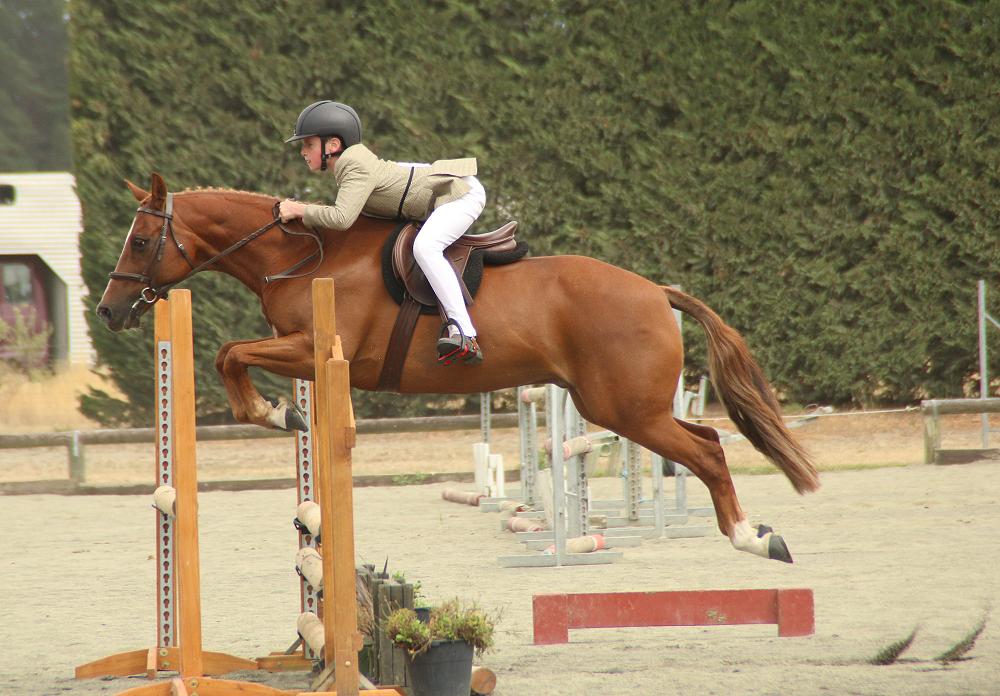 Quinn Coutts (Y7) riding Goosebumps while competing at the National Show Jumping and Show Hunter Champs in Christchurch in February.