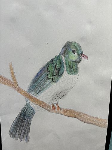 Kererū art with mixed media.