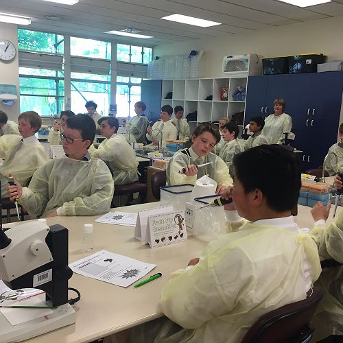Testing DNA Samples in the Lab