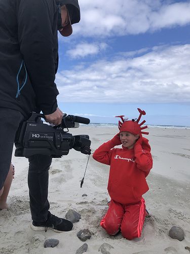 Tomahawk Beach for Rūma iwa and Hollie the crab