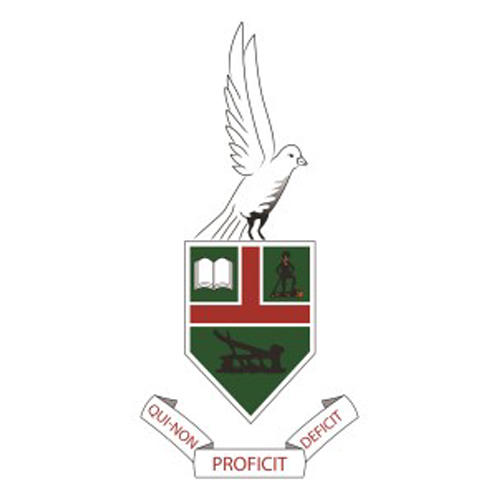 Organisation logo