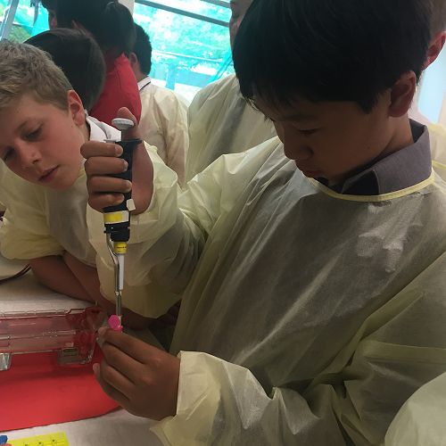 Testing DNA samples in the lab