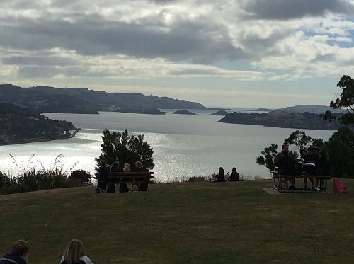 The Remains of the Dunedin Volcano