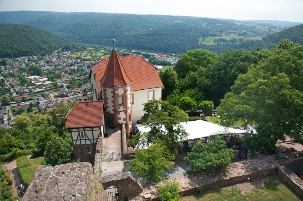 Heidelberg City of Literature Writers in Residence Programme